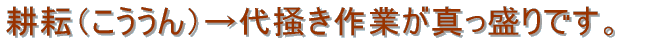 Ă̌قڏIBcڂł̍Ō̍ƂłB 